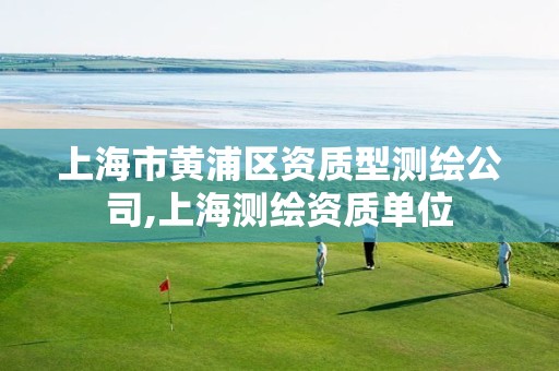 上海市黄浦区资质型测绘公司,上海测绘资质单位