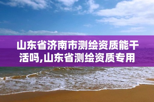 山东省济南市测绘资质能干活吗,山东省测绘资质专用章图片