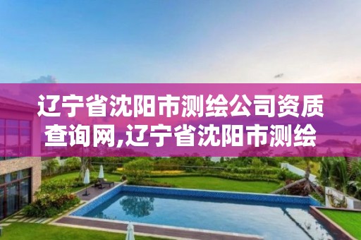 辽宁省沈阳市测绘公司资质查询网,辽宁省沈阳市测绘公司资质查询网址是多少