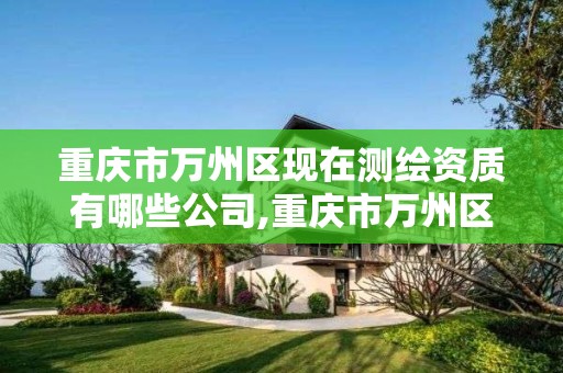 重庆市万州区现在测绘资质有哪些公司,重庆市万州区现在测绘资质有哪些公司可以办理