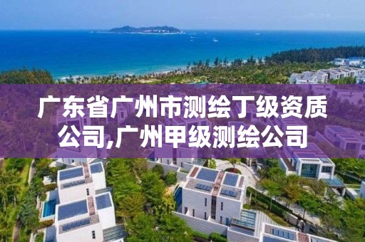 广东省广州市测绘丁级资质公司,广州甲级测绘公司