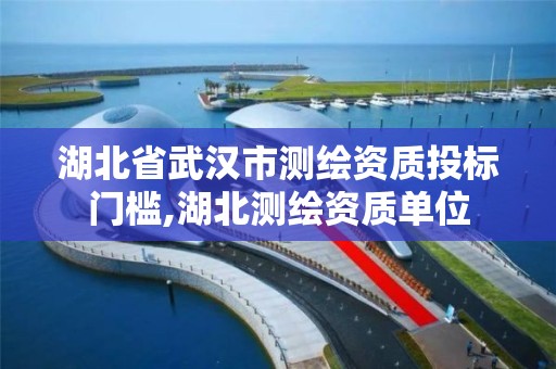 湖北省武汉市测绘资质投标门槛,湖北测绘资质单位