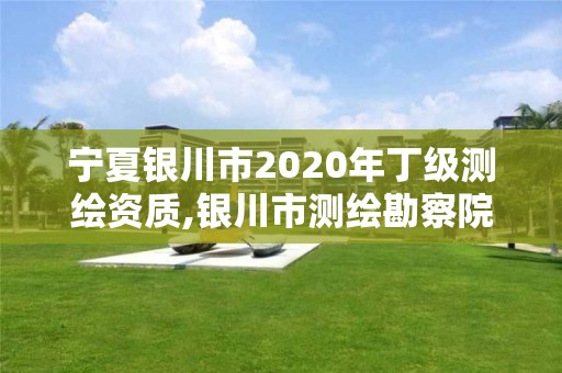 宁夏银川市2020年丁级测绘资质,银川市测绘勘察院