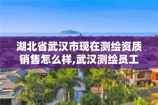 湖北省武汉市现在测绘资质销售怎么样,武汉测绘员工资。