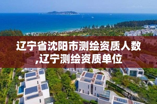 辽宁省沈阳市测绘资质人数,辽宁测绘资质单位