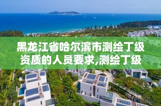 黑龙江省哈尔滨市测绘丁级资质的人员要求,测绘丁级资质人员条件