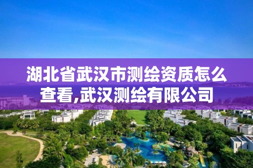 湖北省武汉市测绘资质怎么查看,武汉测绘有限公司