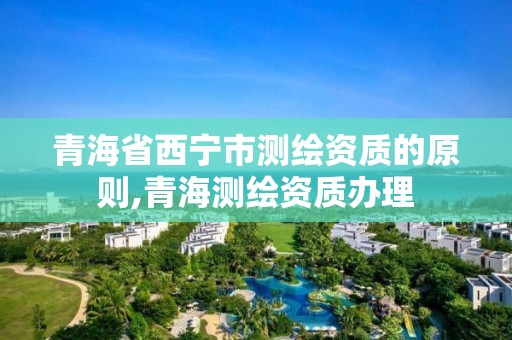 青海省西宁市测绘资质的原则,青海测绘资质办理