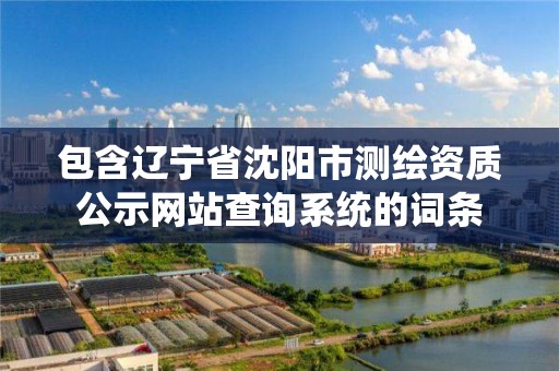 包含辽宁省沈阳市测绘资质公示网站查询系统的词条