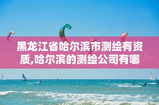 黑龙江省哈尔滨市测绘有资质,哈尔滨的测绘公司有哪些