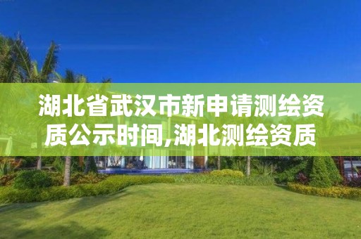 湖北省武汉市新申请测绘资质公示时间,湖北测绘资质查询