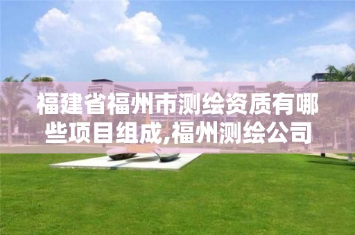 福建省福州市测绘资质有哪些项目组成,福州测绘公司排名