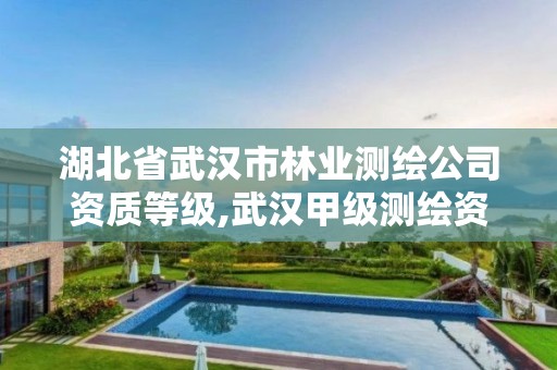 湖北省武汉市林业测绘公司资质等级,武汉甲级测绘资质名录。