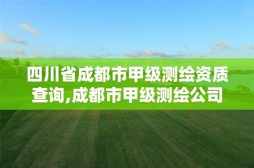 四川省成都市甲级测绘资质查询,成都市甲级测绘公司