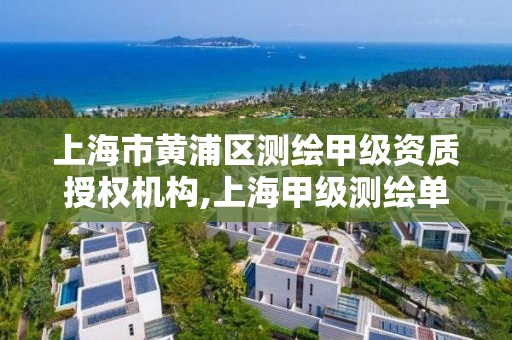 上海市黄浦区测绘甲级资质授权机构,上海甲级测绘单位