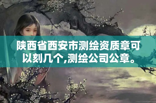 陕西省西安市测绘资质章可以刻几个,测绘公司公章。