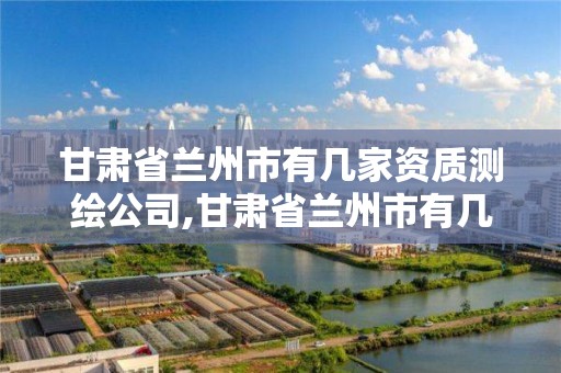 甘肃省兰州市有几家资质测绘公司,甘肃省兰州市有几家资质测绘公司啊。