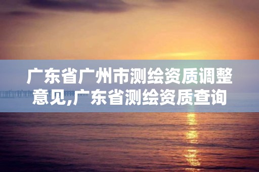 广东省广州市测绘资质调整意见,广东省测绘资质查询