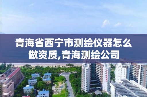 青海省西宁市测绘仪器怎么做资质,青海测绘公司