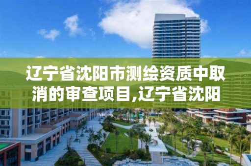 辽宁省沈阳市测绘资质中取消的审查项目,辽宁省沈阳市测绘资质中取消的审查项目包括。