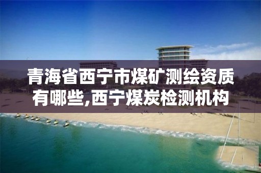 青海省西宁市煤矿测绘资质有哪些,西宁煤炭检测机构