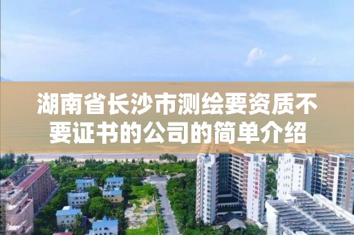 湖南省长沙市测绘要资质不要证书的公司的简单介绍