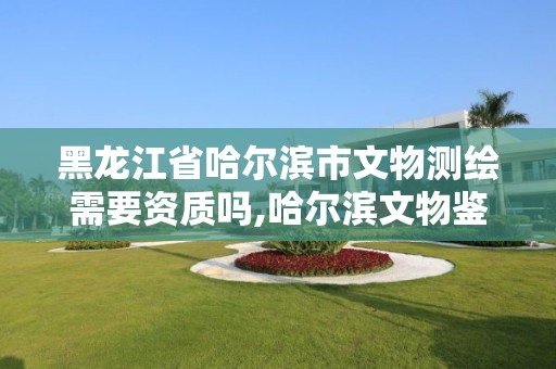 黑龙江省哈尔滨市文物测绘需要资质吗,哈尔滨文物鉴定中心电话号码