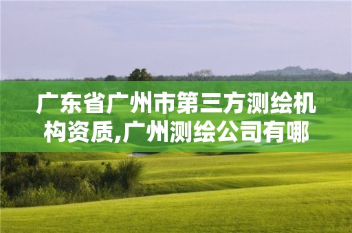 广东省广州市第三方测绘机构资质,广州测绘公司有哪些。