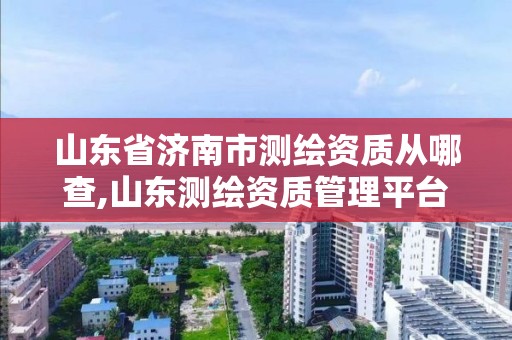 山东省济南市测绘资质从哪查,山东测绘资质管理平台