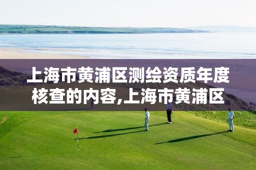 上海市黄浦区测绘资质年度核查的内容,上海市黄浦区测绘中心