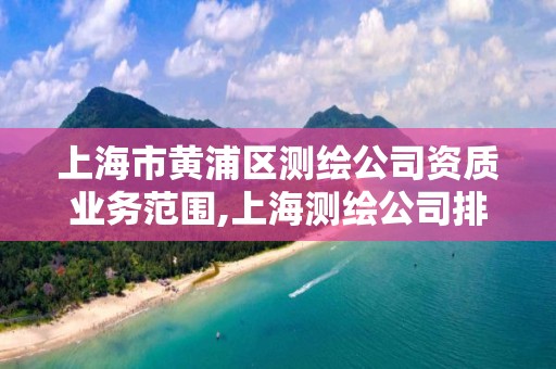 上海市黄浦区测绘公司资质业务范围,上海测绘公司排名名单。