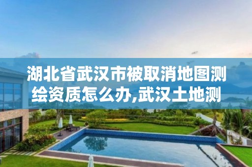 湖北省武汉市被取消地图测绘资质怎么办,武汉土地测绘公司。