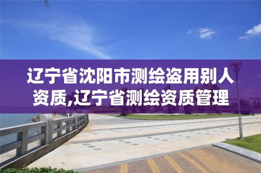 辽宁省沈阳市测绘盗用别人资质,辽宁省测绘资质管理信息系统