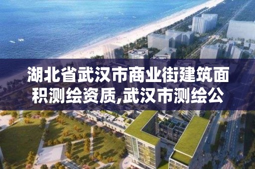 湖北省武汉市商业街建筑面积测绘资质,武汉市测绘公司。