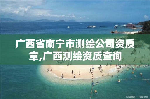 广西省南宁市测绘公司资质章,广西测绘资质查询