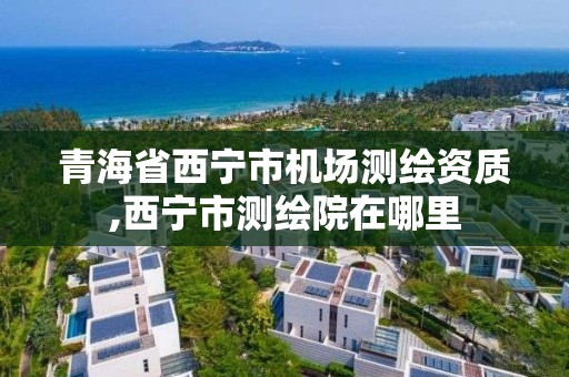 青海省西宁市机场测绘资质,西宁市测绘院在哪里