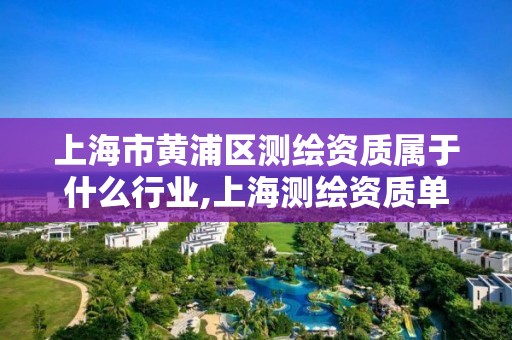 上海市黄浦区测绘资质属于什么行业,上海测绘资质单位