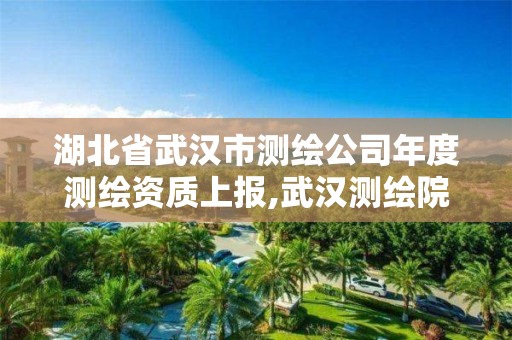 湖北省武汉市测绘公司年度测绘资质上报,武汉测绘院地址