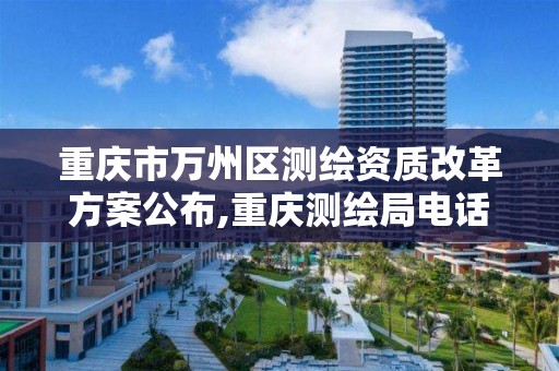 重庆市万州区测绘资质改革方案公布,重庆测绘局电话