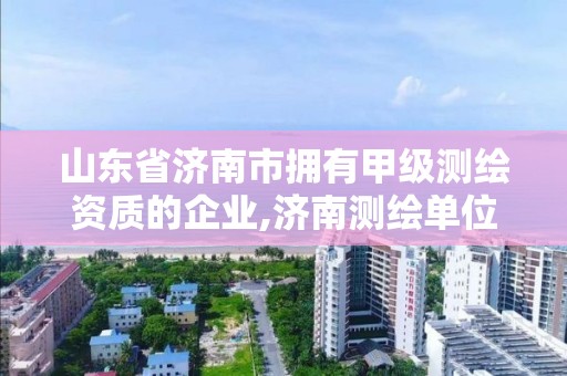 山东省济南市拥有甲级测绘资质的企业,济南测绘单位。