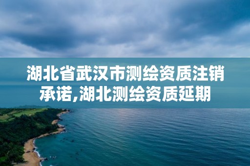 湖北省武汉市测绘资质注销承诺,湖北测绘资质延期