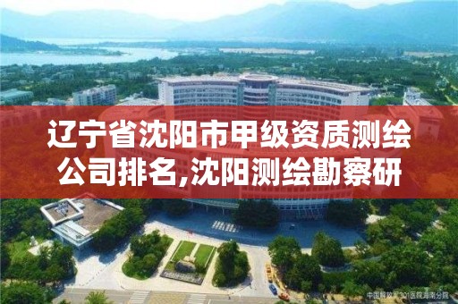 辽宁省沈阳市甲级资质测绘公司排名,沈阳测绘勘察研究院有限公司