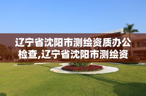 辽宁省沈阳市测绘资质办公检查,辽宁省沈阳市测绘资质办公检查站电话