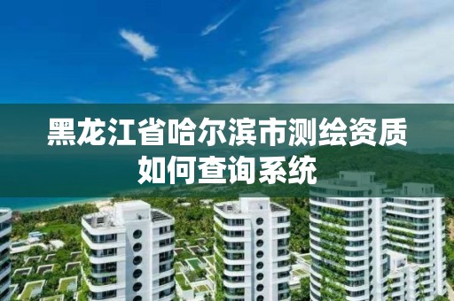 黑龙江省哈尔滨市测绘资质如何查询系统