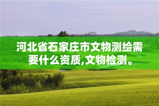 河北省石家庄市文物测绘需要什么资质,文物检测。