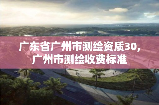 广东省广州市测绘资质30,广州市测绘收费标准