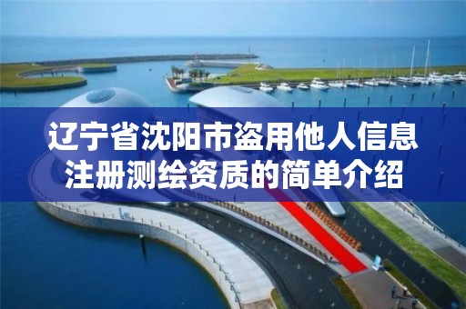 辽宁省沈阳市盗用他人信息注册测绘资质的简单介绍