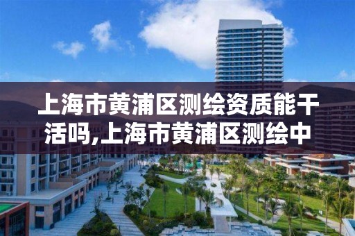 上海市黄浦区测绘资质能干活吗,上海市黄浦区测绘中心