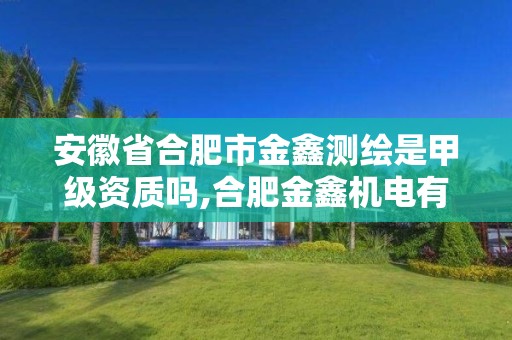 安徽省合肥市金鑫测绘是甲级资质吗,合肥金鑫机电有限公司。