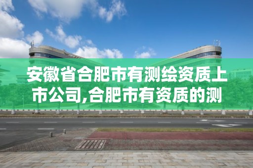 安徽省合肥市有测绘资质上市公司,合肥市有资质的测绘公司。